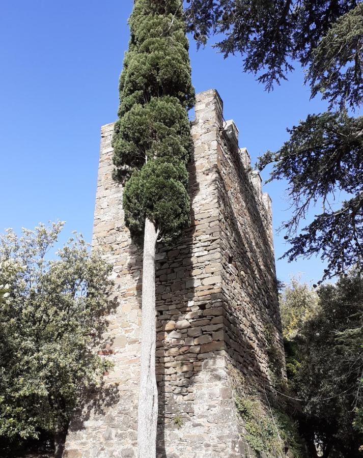 Castelvecchio B&B Montenero d'Orcia Экстерьер фото